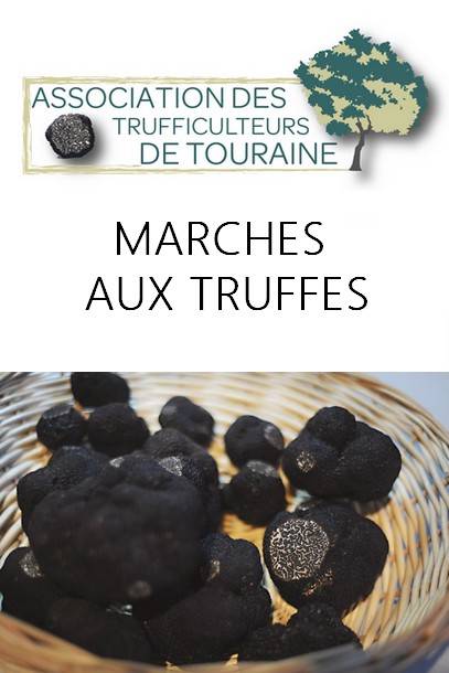 Marchés aux truffes noires de Touraine